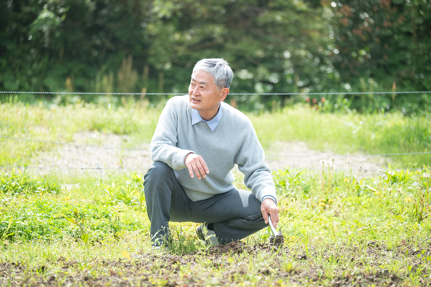 橋本好弘 畑