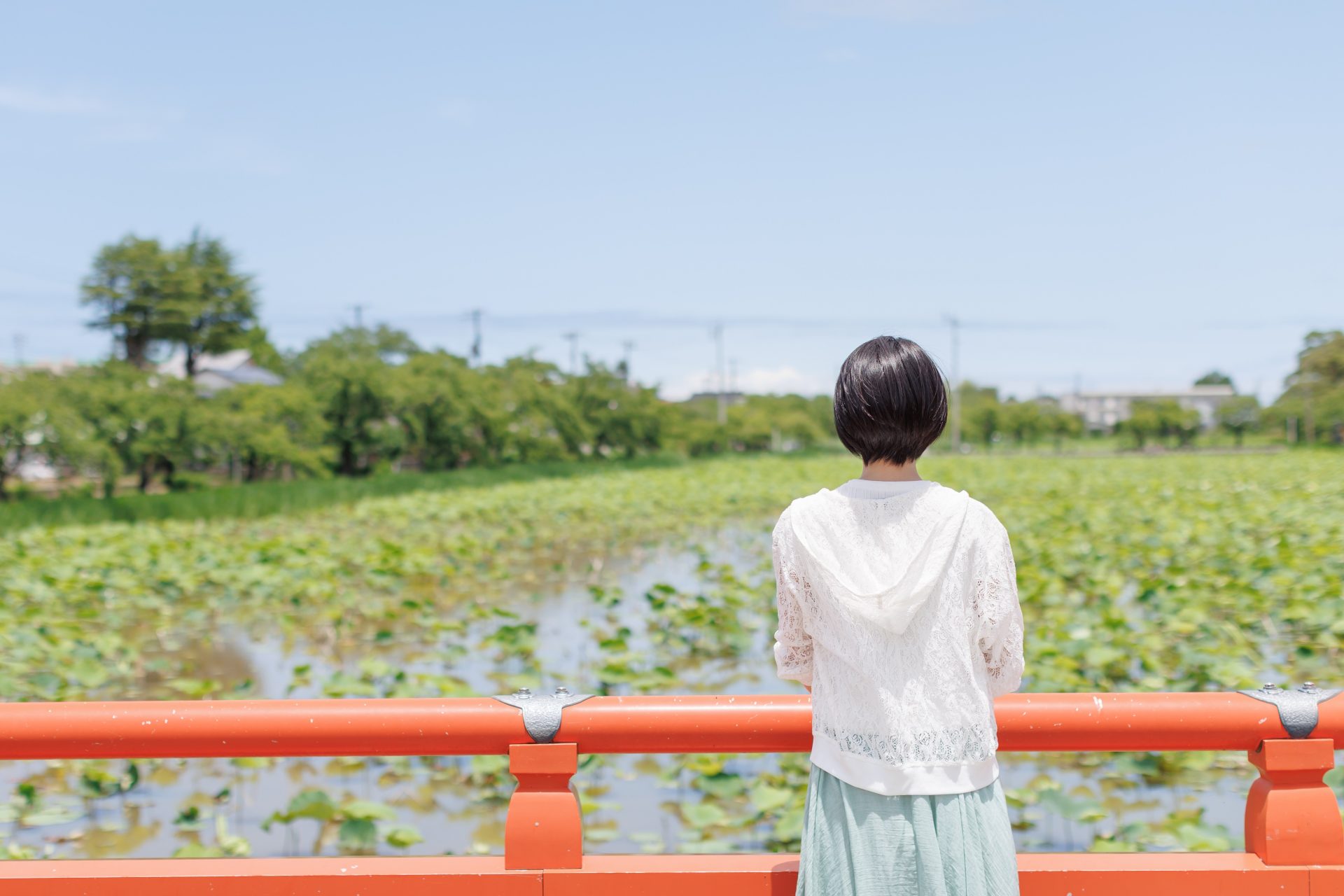 高田城址公園「西堀橋」の蓮池